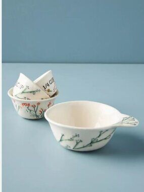 Anthropologie Dagny Measuring Cups, Set of 4, Hand Painted Botanicals Design